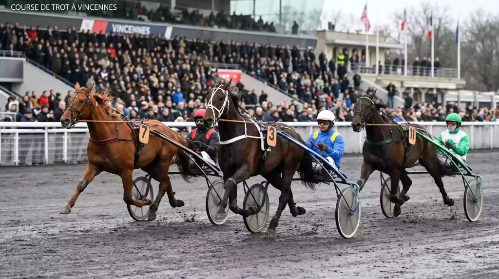 Trotteurs attelés en pleine course sur la piste de l'hippodrome de Paris-Vincennes